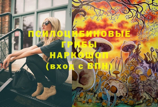 мдпв Богданович